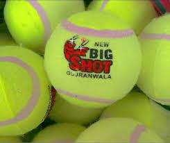 BIG SHOT TENNIS/CRICKET BALL